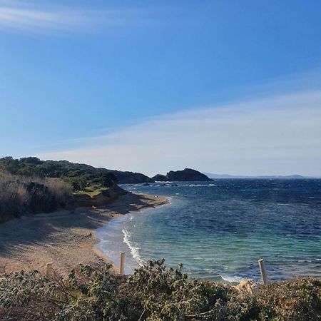 Appartement T2 - Hyeres Gare Exteriör bild